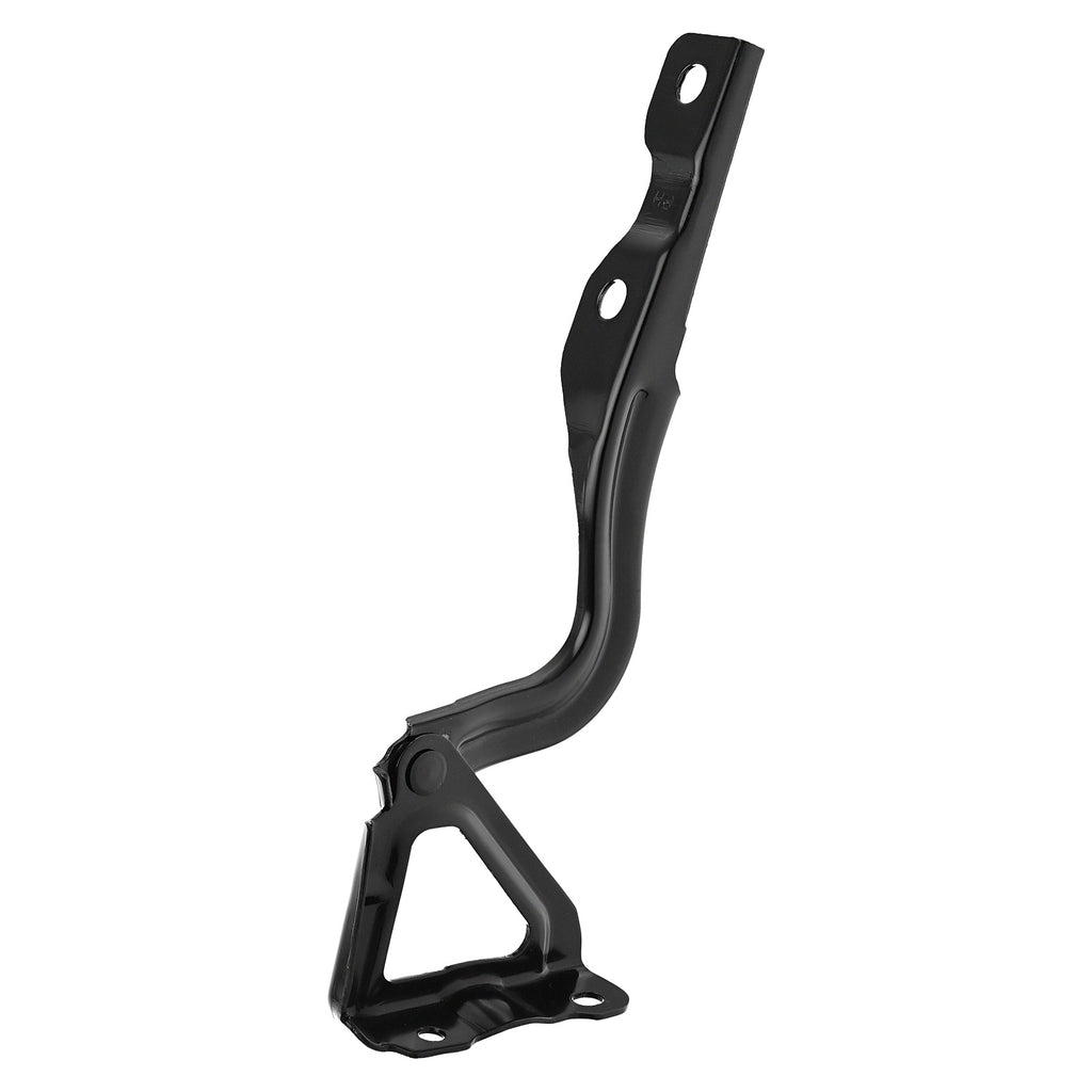 Bisagra de Cofre RADEC 006-5501-00