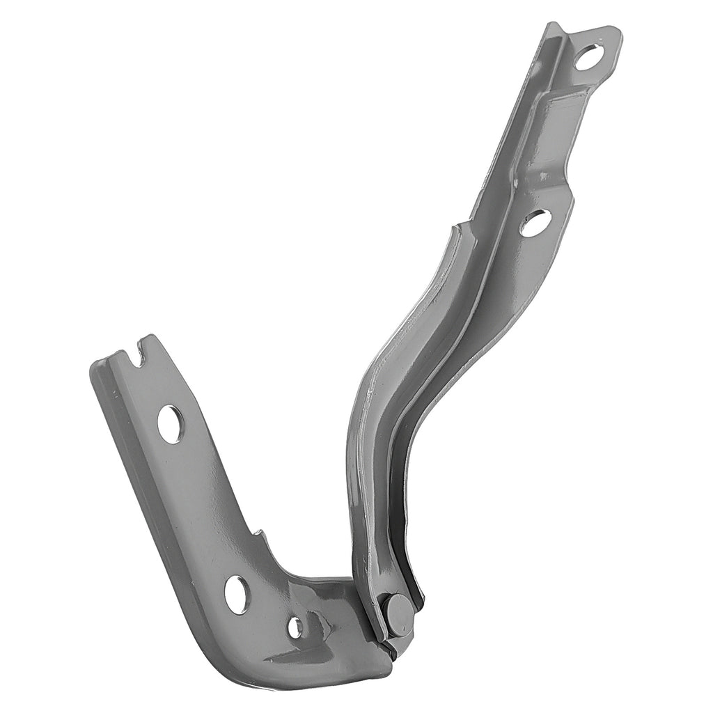 Bisagra de Cofre RADEC 006-5503-00