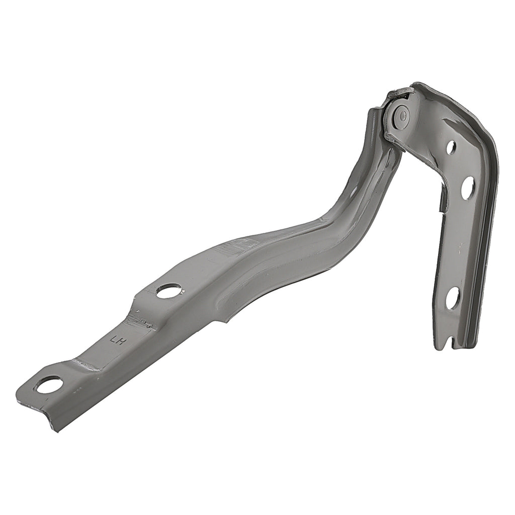 Bisagra de Cofre RADEC 006-5503-01