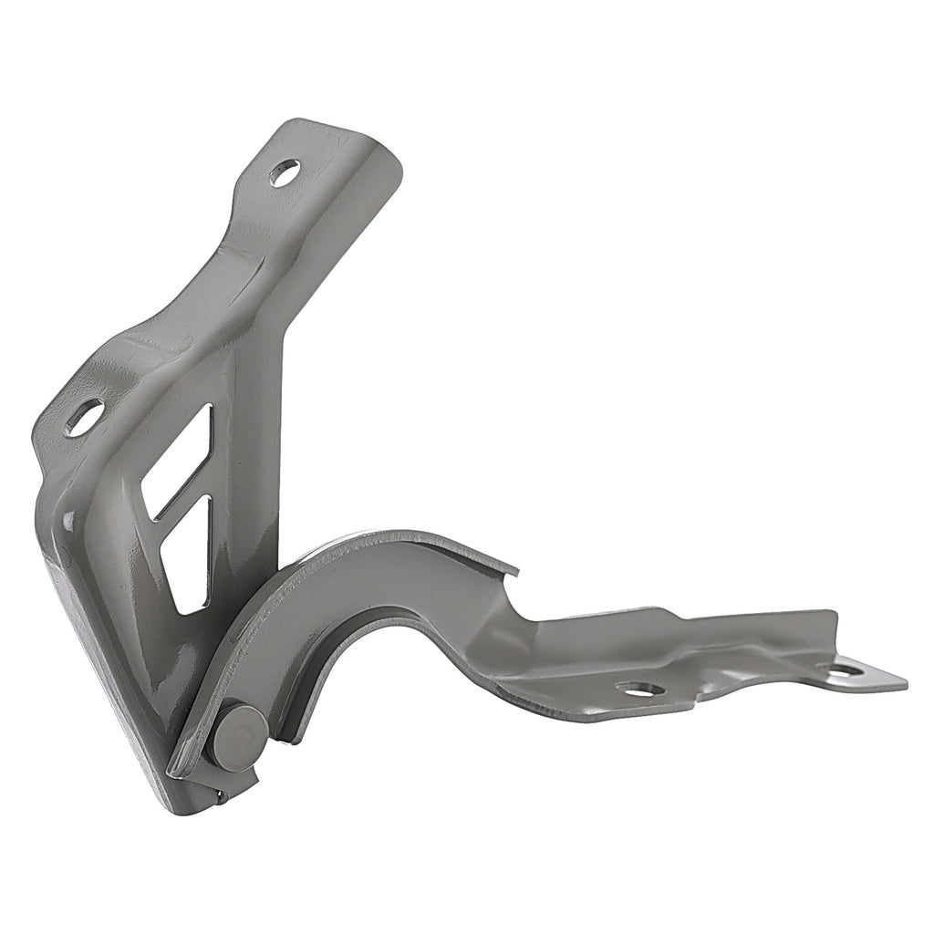 Bisagra de Cofre RADEC 006-5505-00