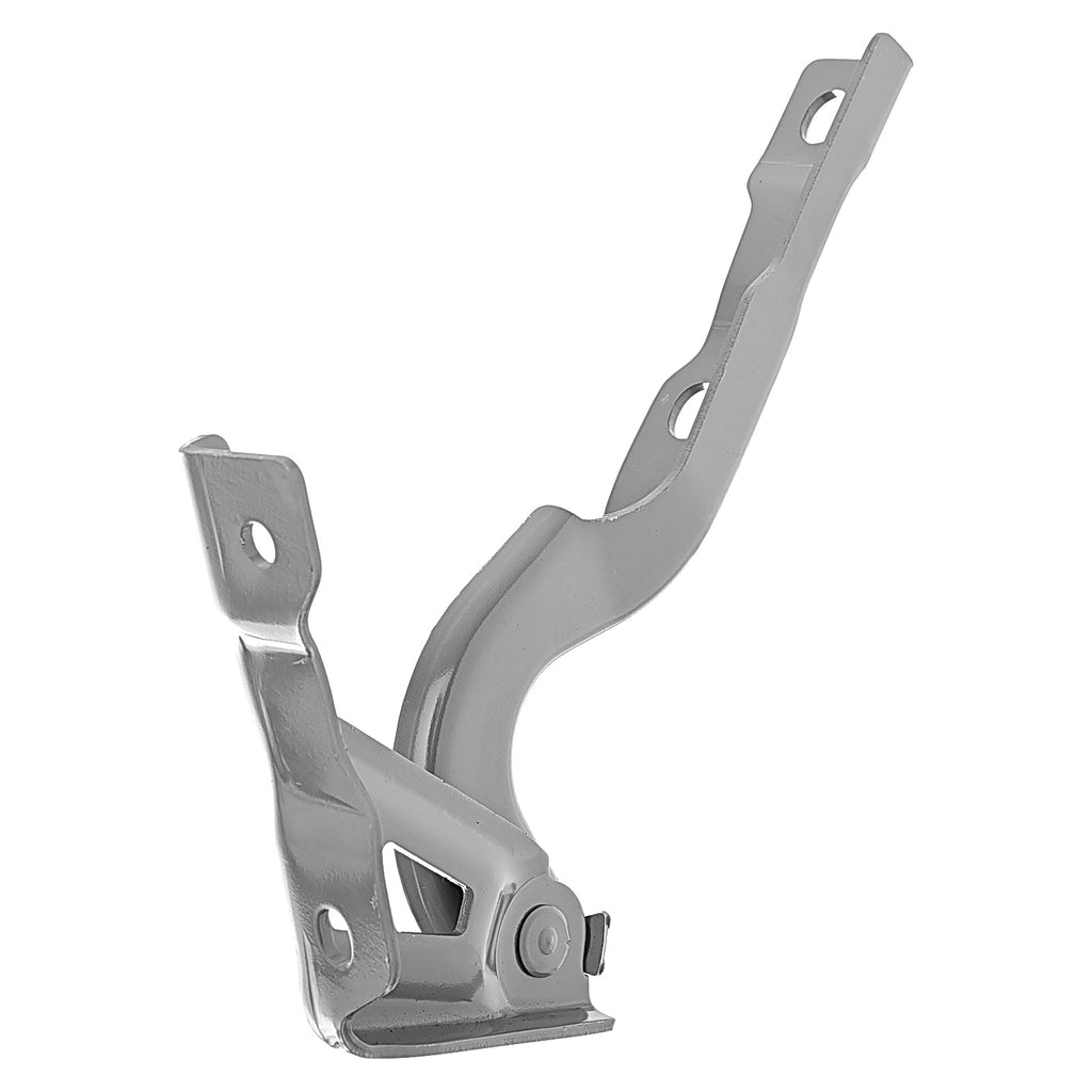 Bisagra de Cofre RADEC 006-5505-01