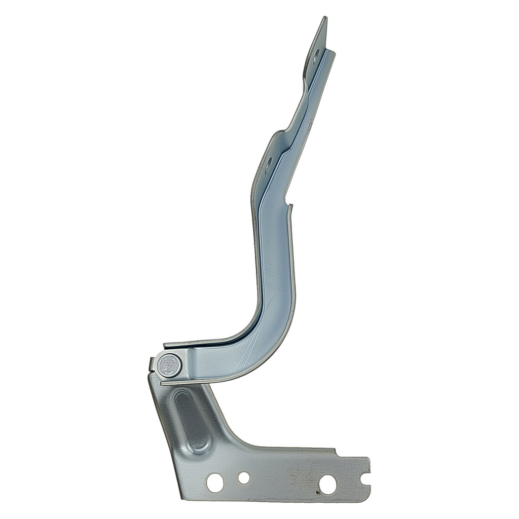 Bisagra de Cofre RADEC 006-5508-01