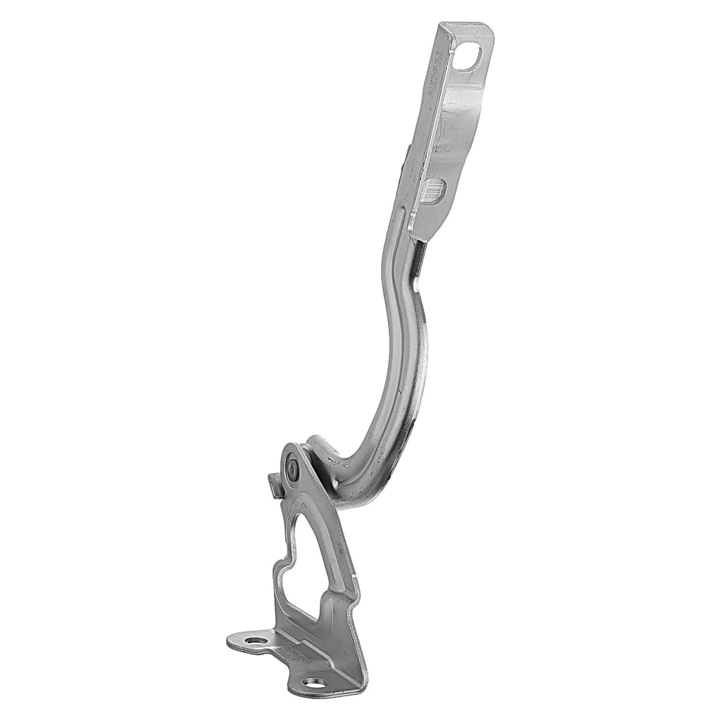 Bisagra de Cofre RADEC 006-5602-00