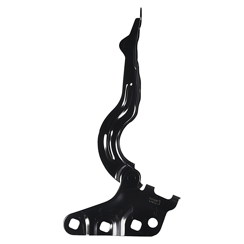 Bisagra de Cofre RADEC 006-6800-00