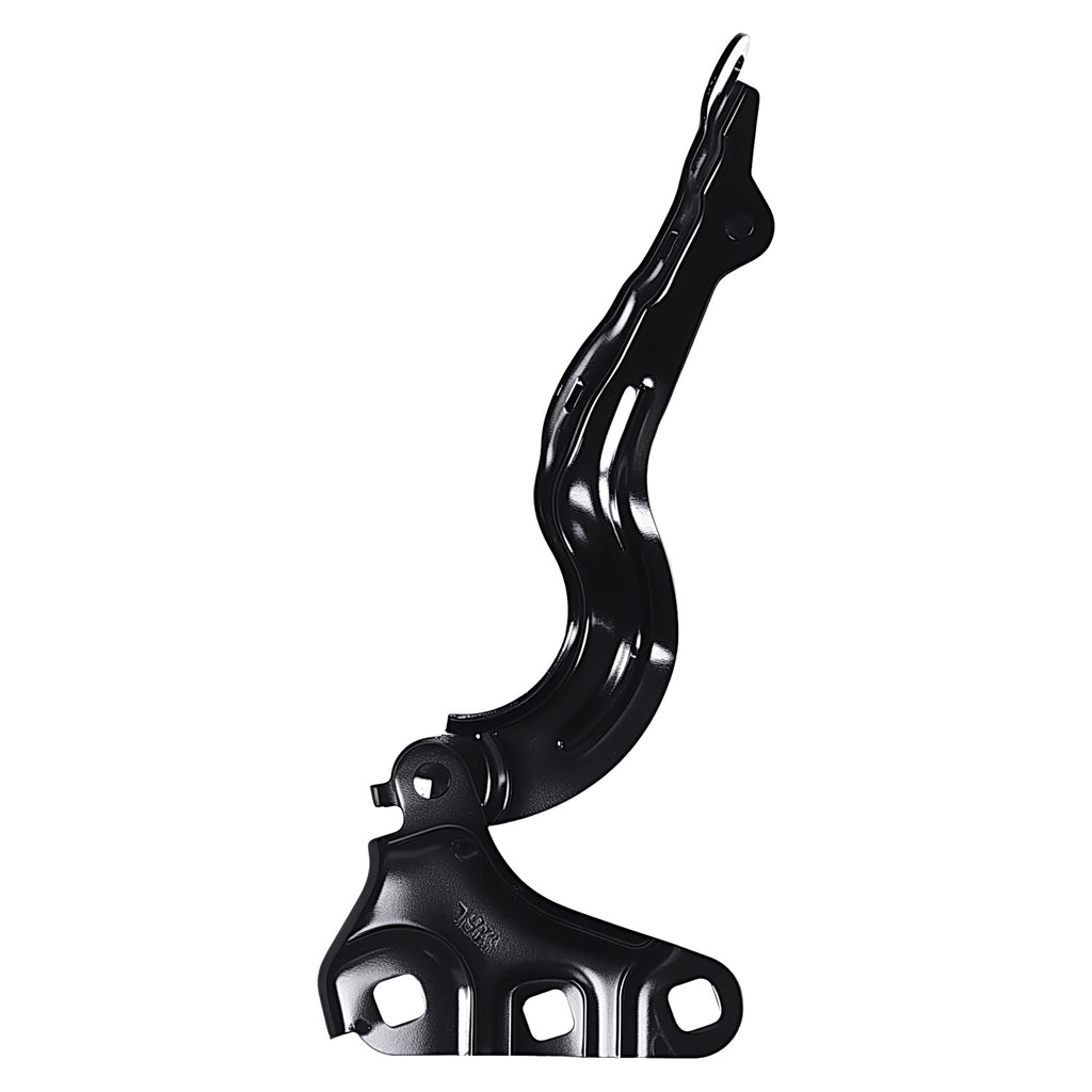 Bisagra de Cofre RADEC 006-6800-01