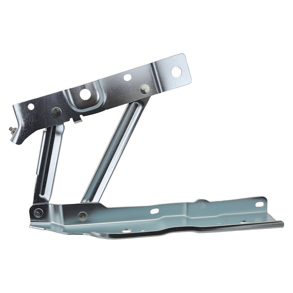 Bisagra de Cofre RADEC 006-7101-00