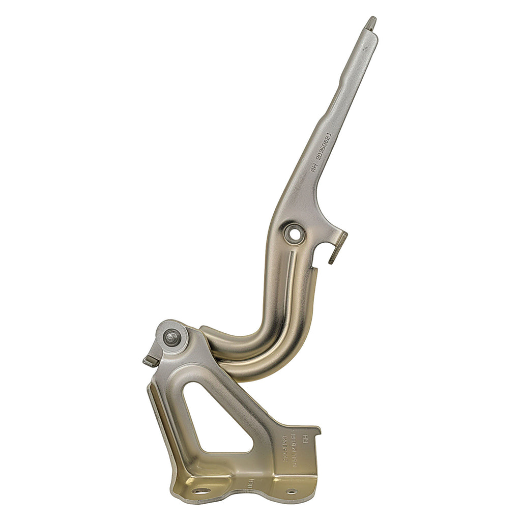 Bisagra de Cofre RADEC 006-7105-00