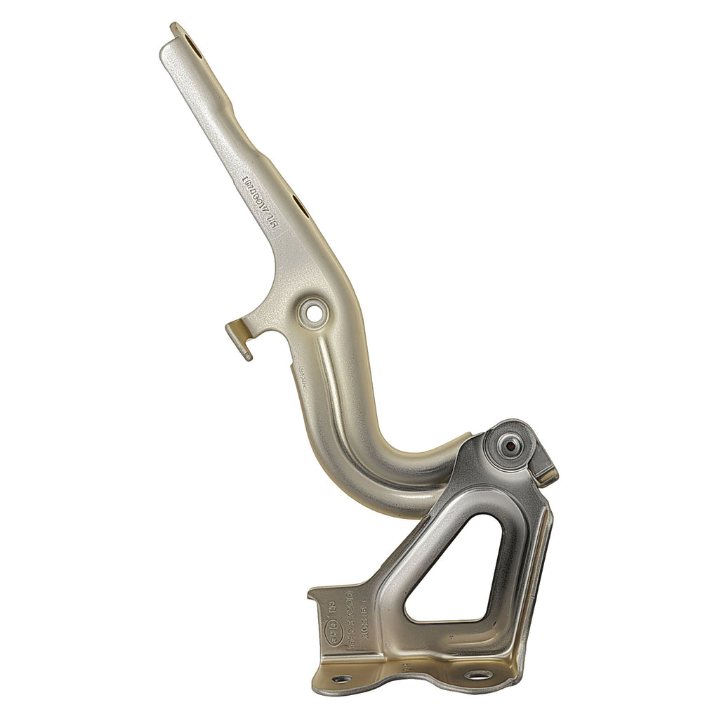 Bisagra de Cofre RADEC 006-7105-01