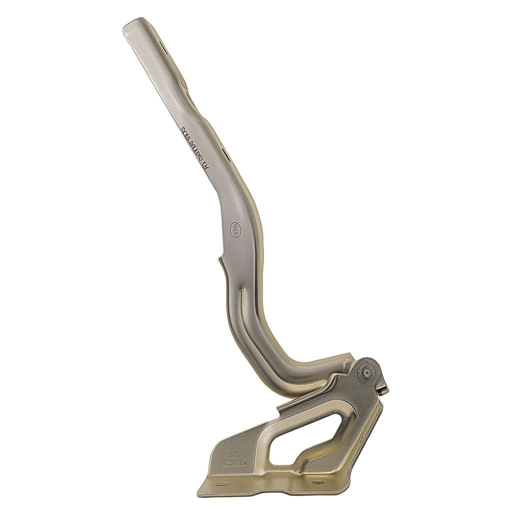 Bisagra de Cofre RADEC 006-7110-01