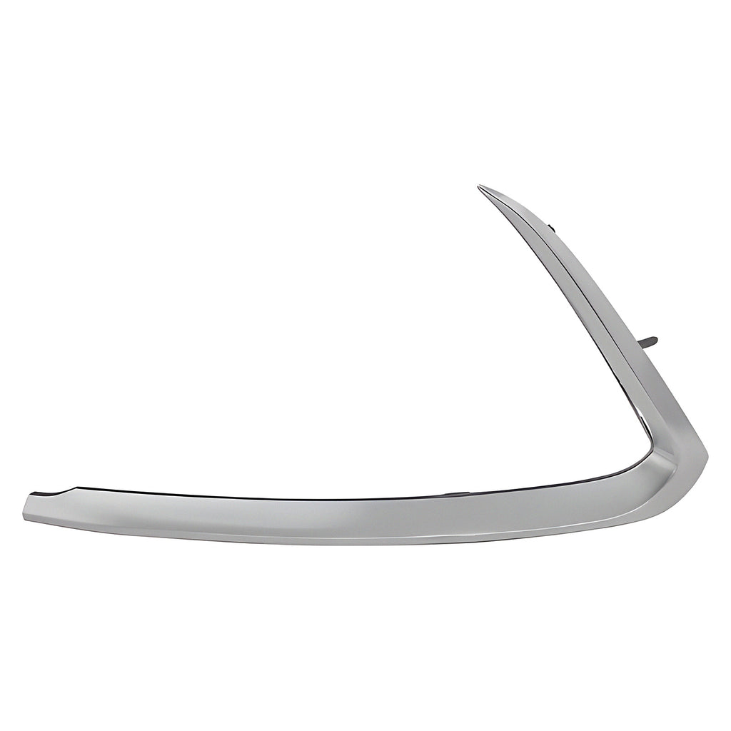 Moldura Fascia Delantera Izquierda GD 011-1909-07