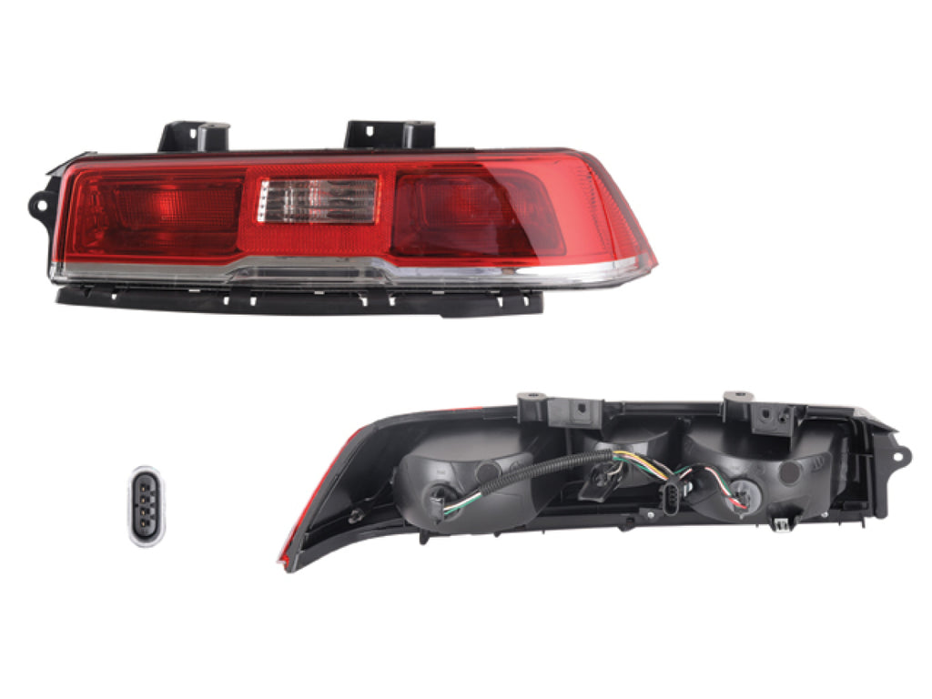 Calavera Derecha ALAP 017-0608-06