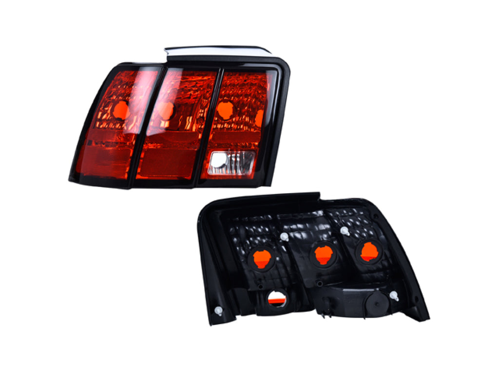 Calavera Izquierda ALAP 017-1228-11