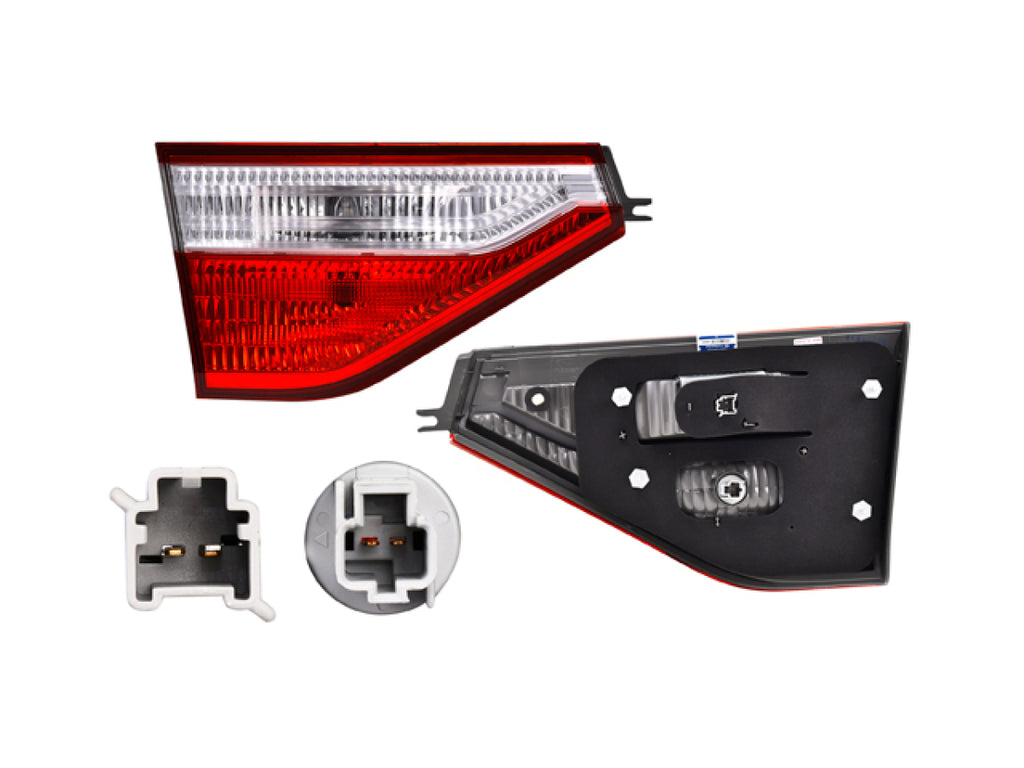 Calavera Interior Izquierda ALAP 017-1305-37