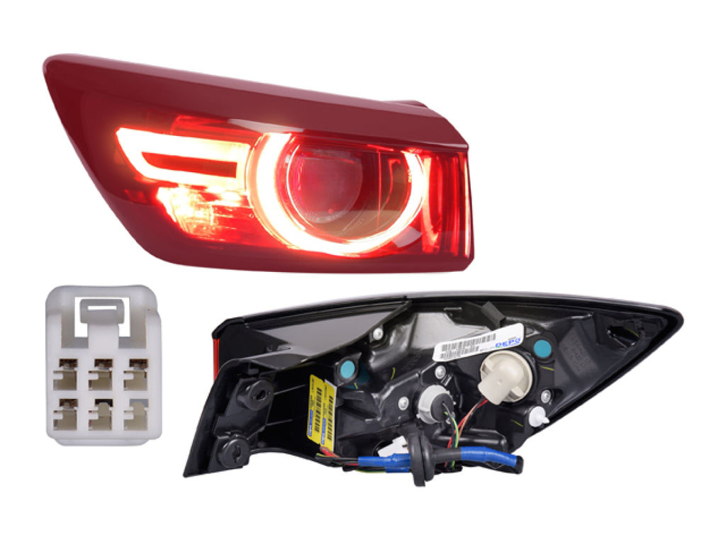 Calavera Exterior Izquierda RADEC 017-1923-11