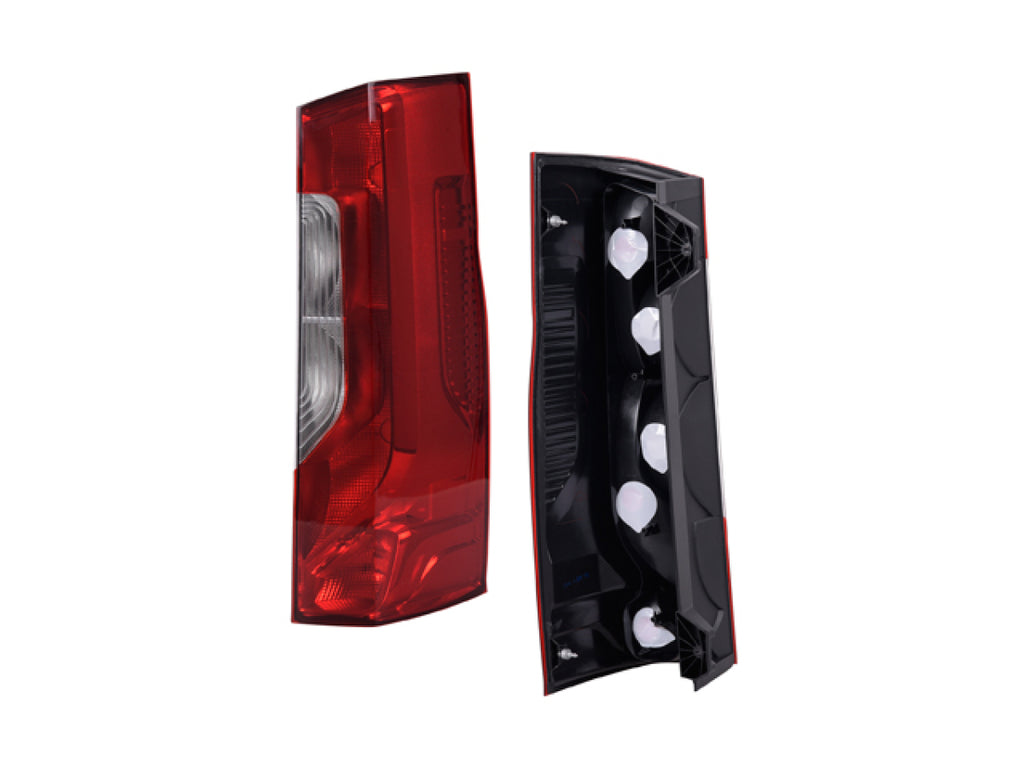 Calavera Derecha RADEC 017-2006-08