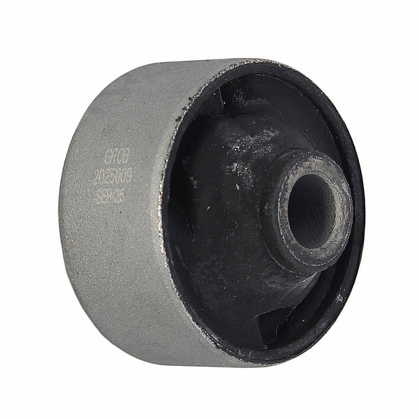 Buje GROB 2025009