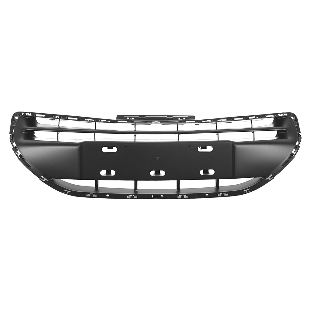 Parrilla de Fascia Delantera RADEC 204-2411-01