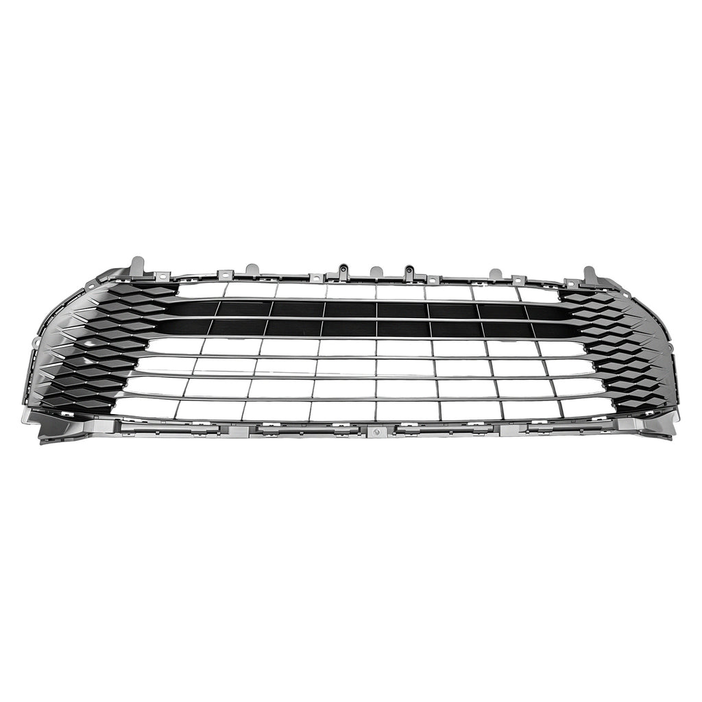 Parrilla de Fascia Delantera RADEC 204-3002-43