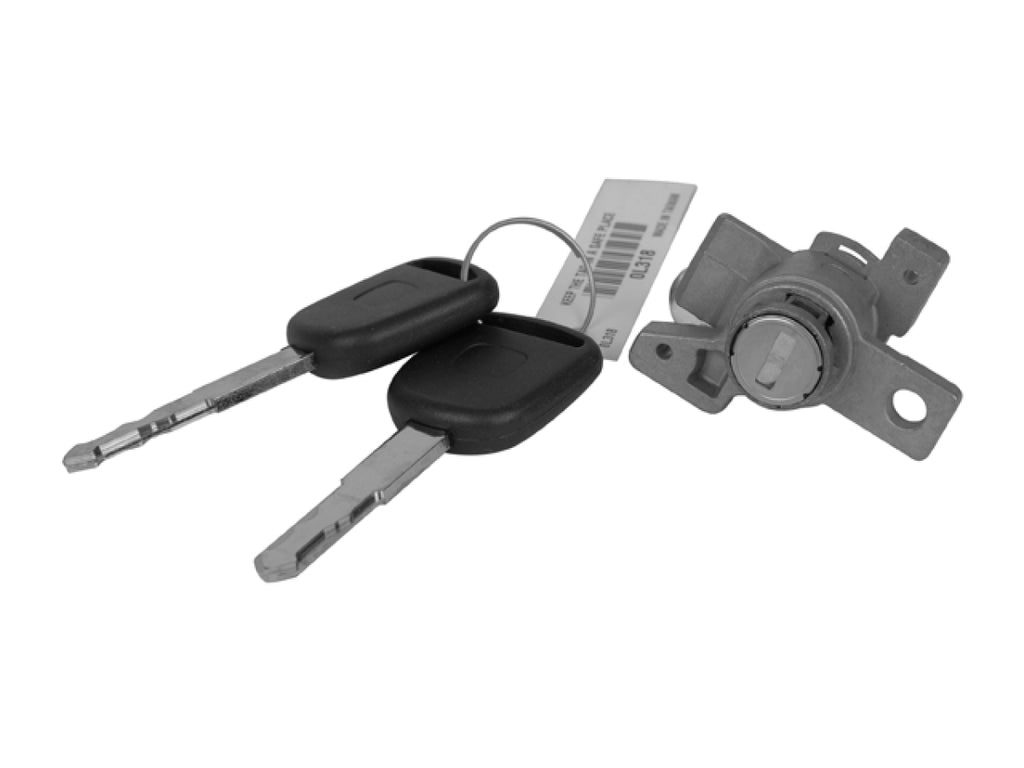 Cilindro Puerta Delantera Izquierda RADEC 224-1305-01