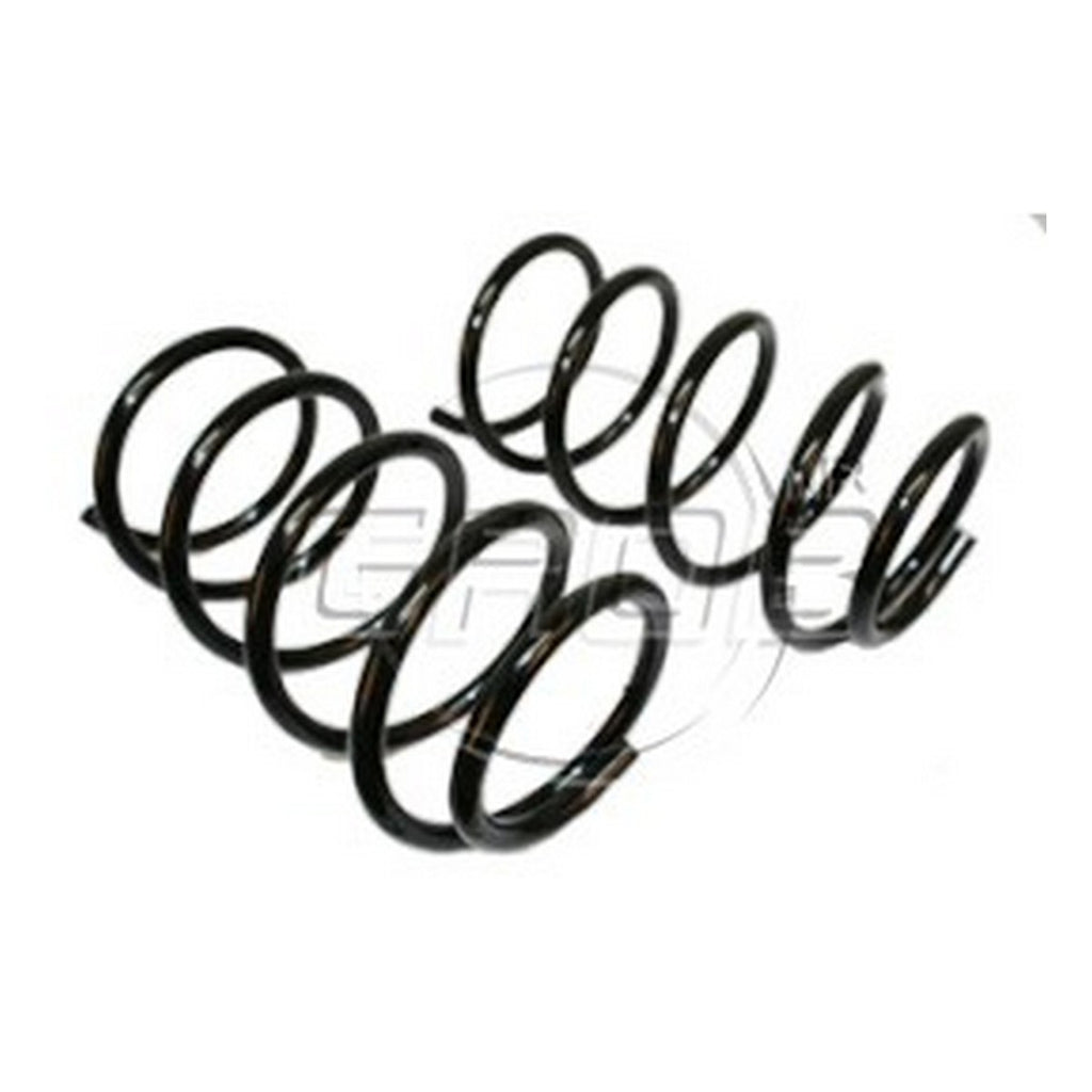 Resortes Trasero GROB 2770005