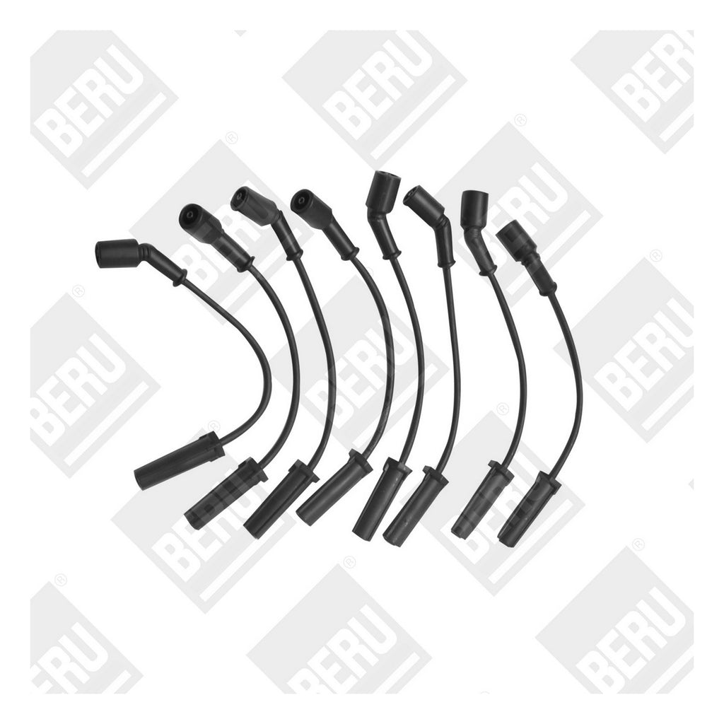 Juego de Cables Bujías BERU 309G8