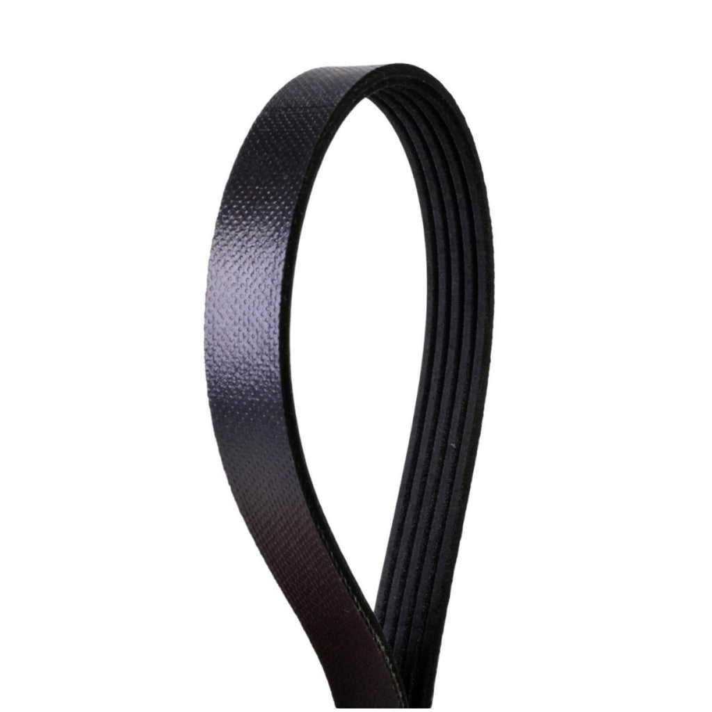 Banda Multi-V Stretch CONTINENTAL 4050272S