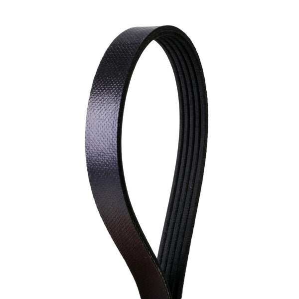 Banda Multi-V CONTINENTAL 4050710