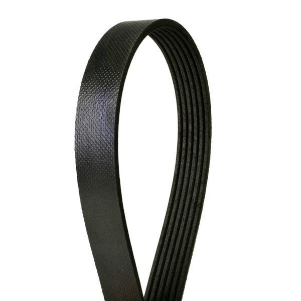 Banda Multi-V CONTINENTAL 4060923