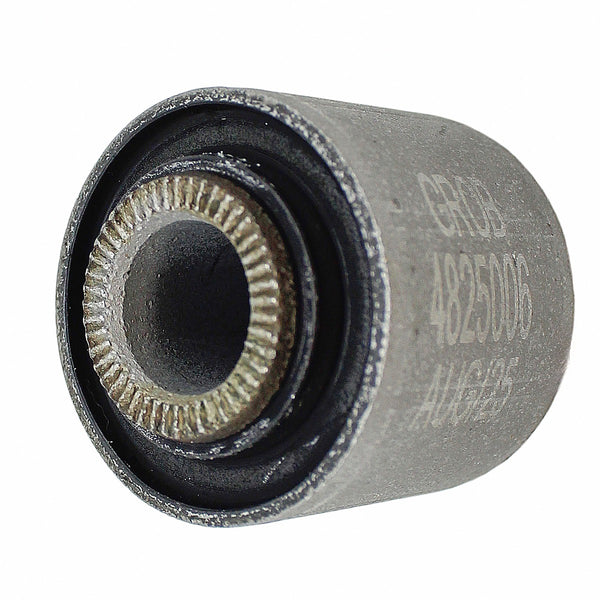 Buje GROB 4825006