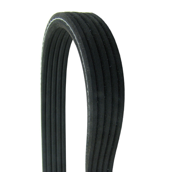 Banda Multi-V Doble CONTINENTAL D4050610