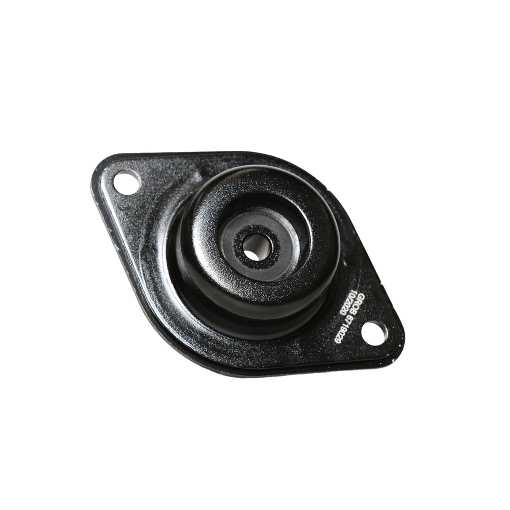 Base de Amortiguador Trasero GROB 6719029