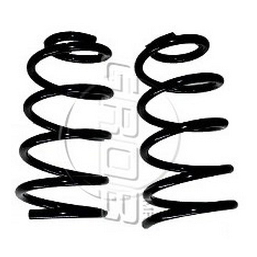 Resortes Trasero GROB 6770021