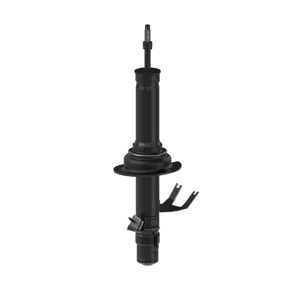 Strut OESpectrum MONROE 72703