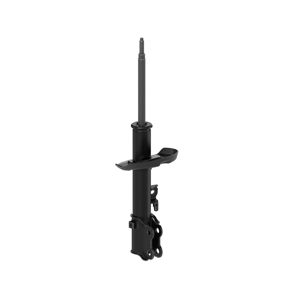 Strut OESpectrum MONROE 72968