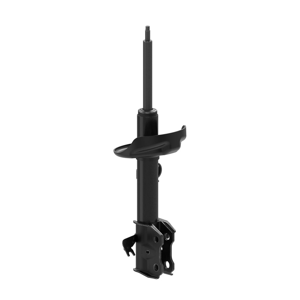 Strut OESpectrum MONROE 73046