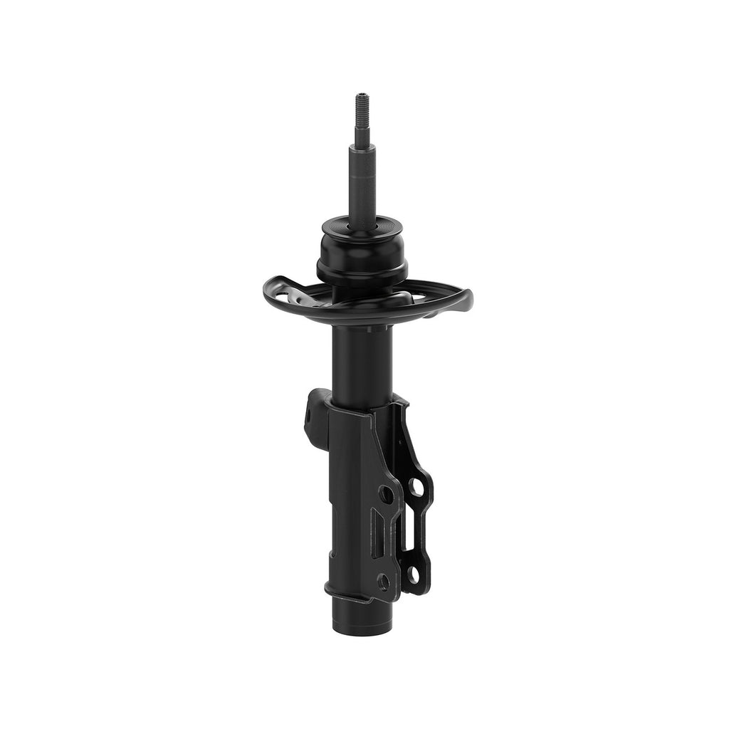 Strut OESpectrum MONROE 73053