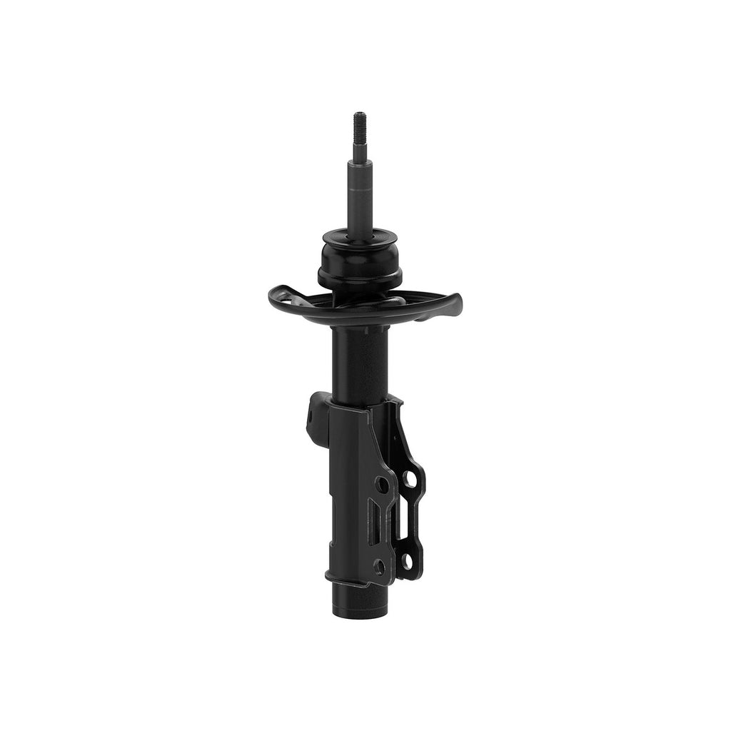 Strut OESpectrum MONROE 73055