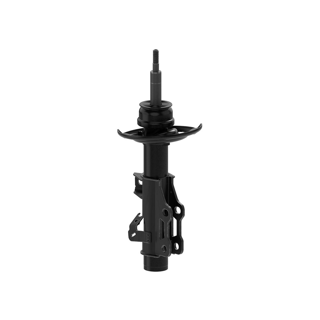 Strut OESpectrum MONROE 73056