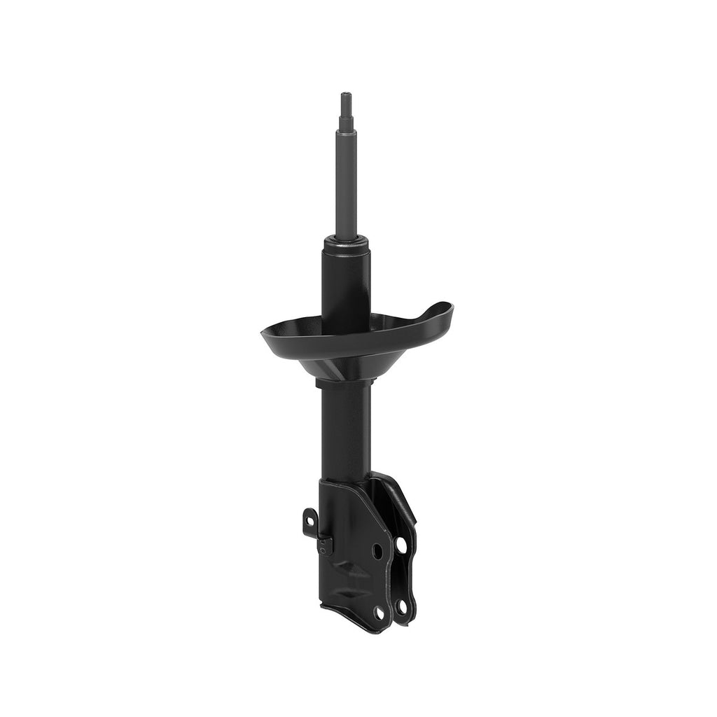 Strut OESpectrum MONROE 73069