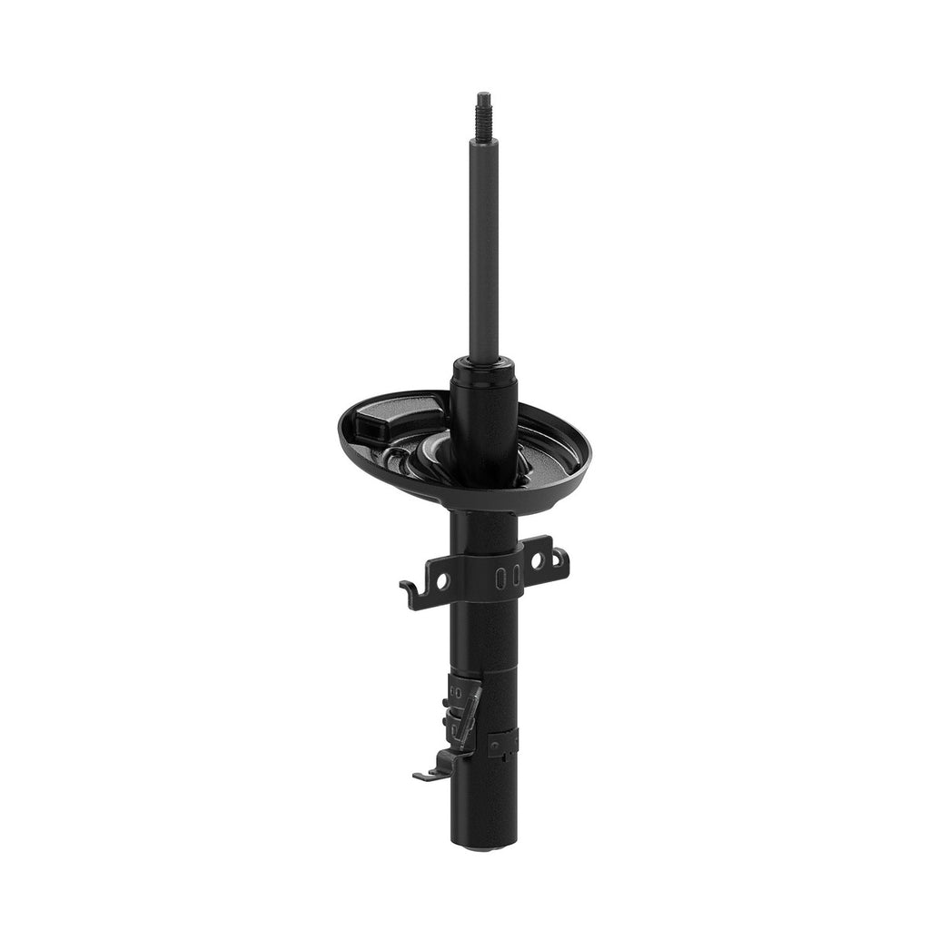 Strut OESPectrum MONROE 73074