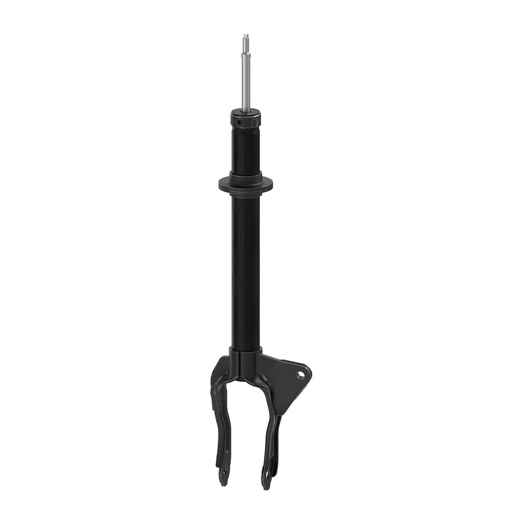 Strut OESpectrum MONROE 73077