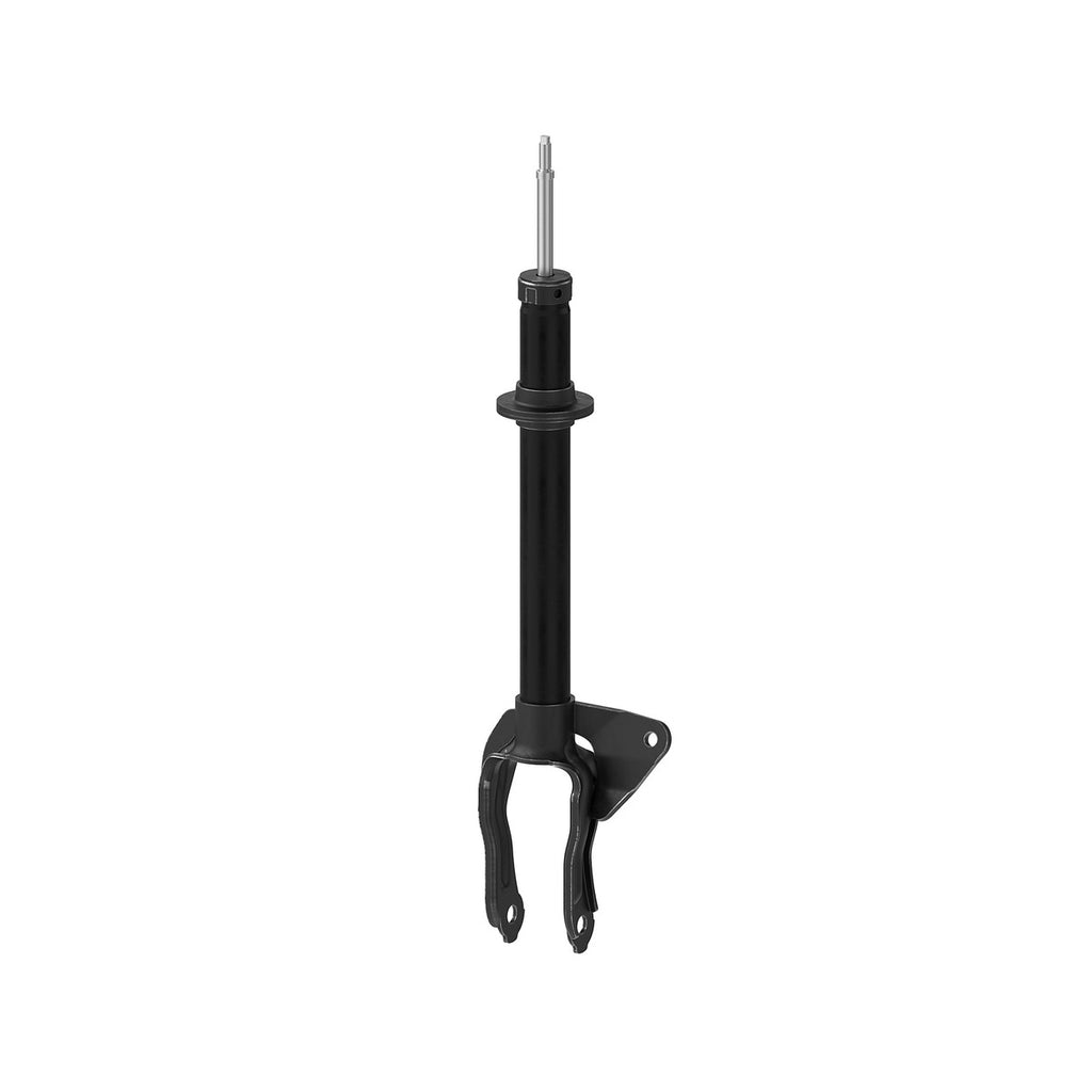Strut OESpectrum MONROE 73078