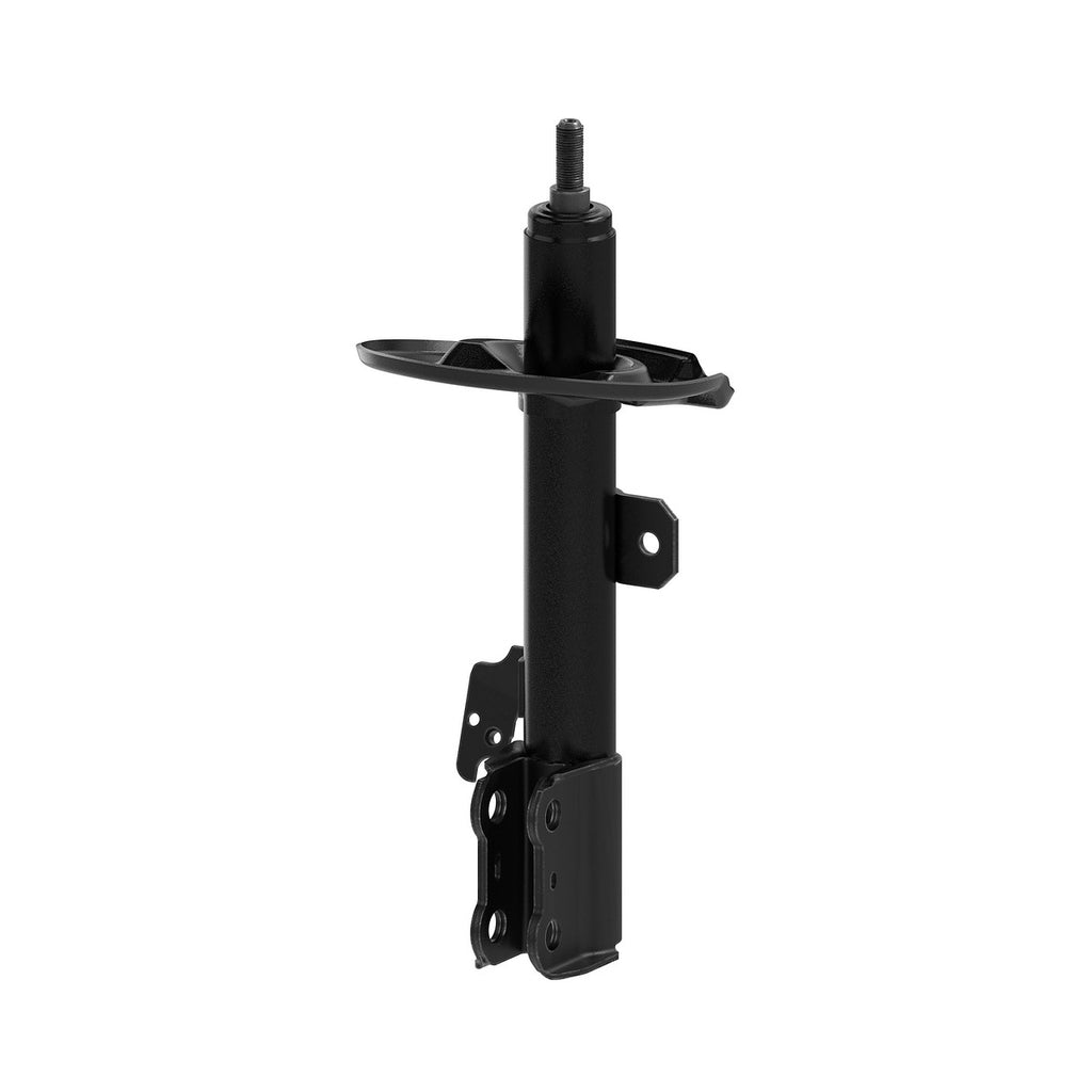 Strut OESpectrum MONROE 73089