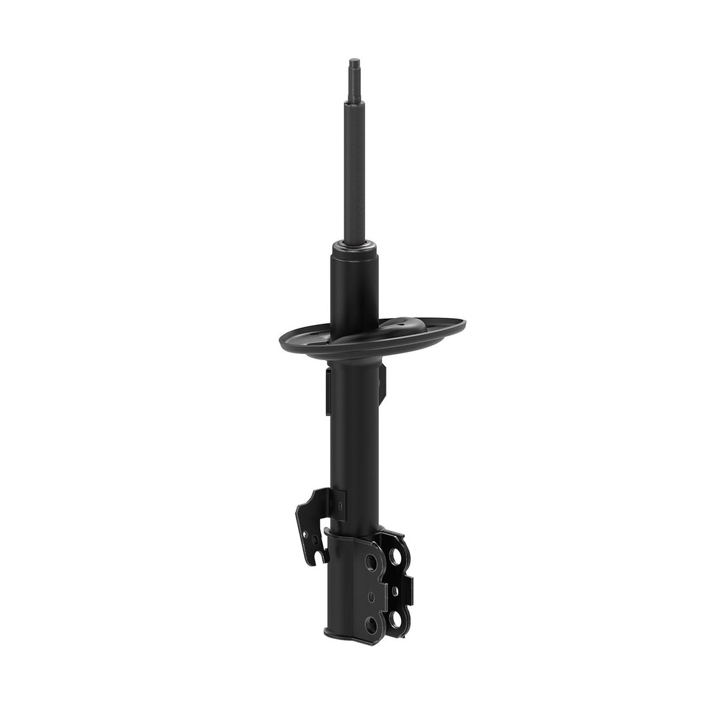 Strut OESPectrum MONROE 73093