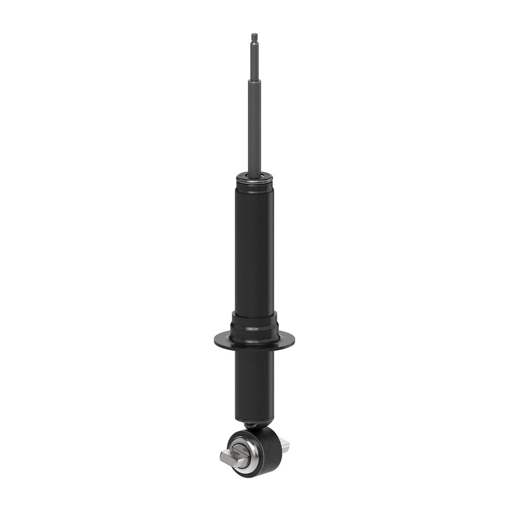 Strut OESpectrum MONROE 73122