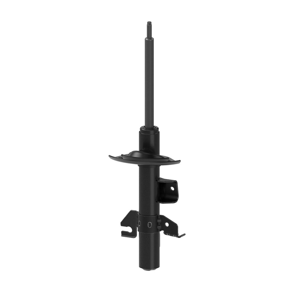Strut OESpectrum MONROE 73126