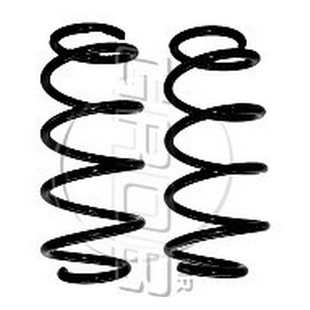 Resortes Trasero GROB 7570009