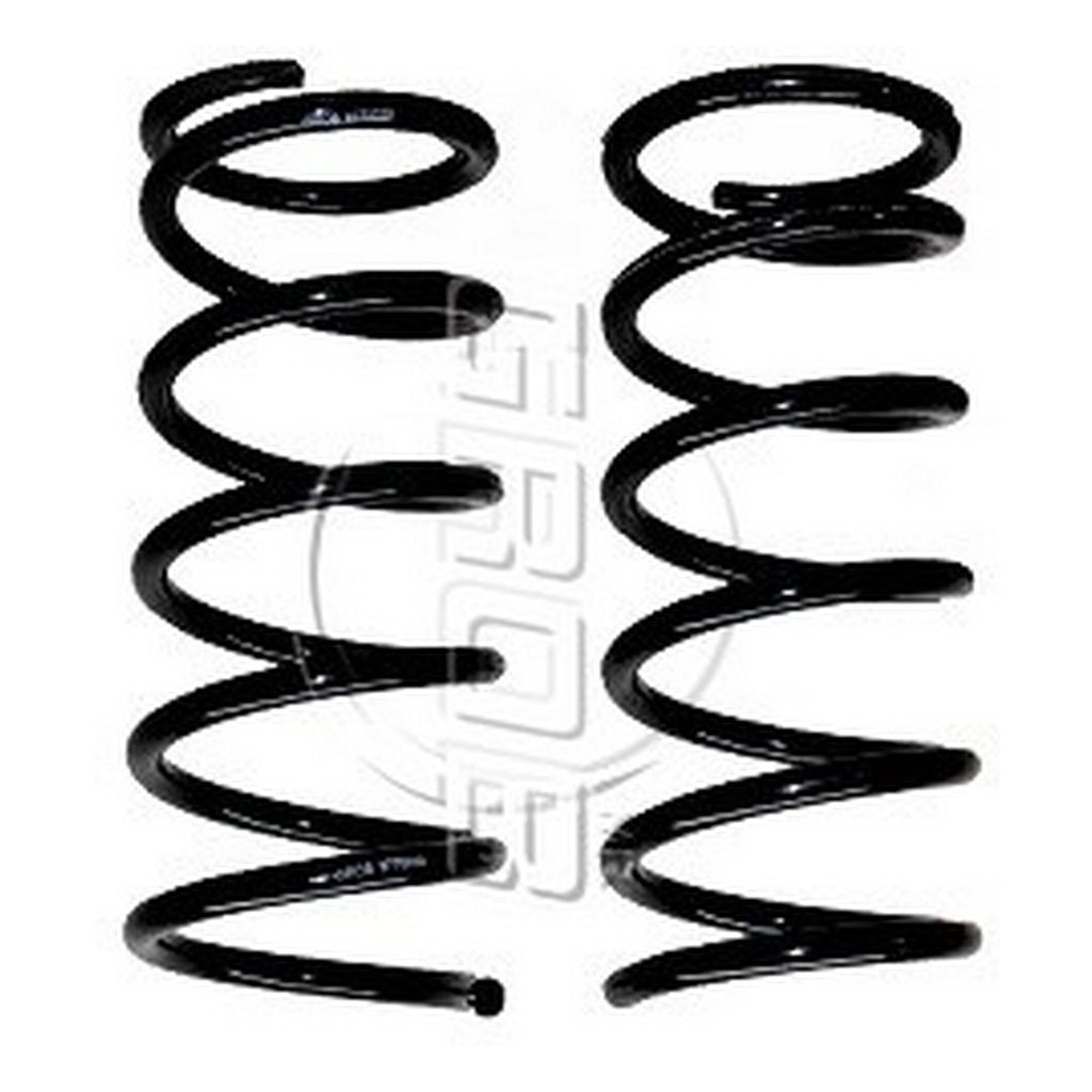 Resortes Trasero GROB 8770039