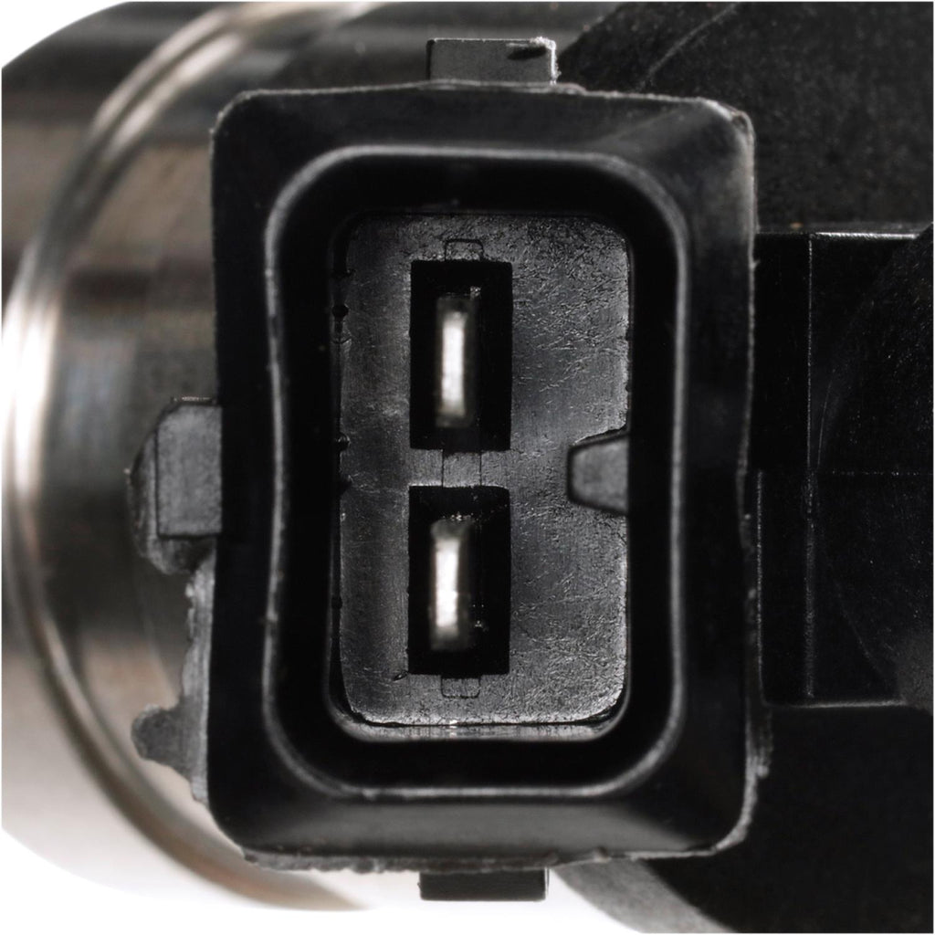 Inyectores de Combustible STANDARD FJ491