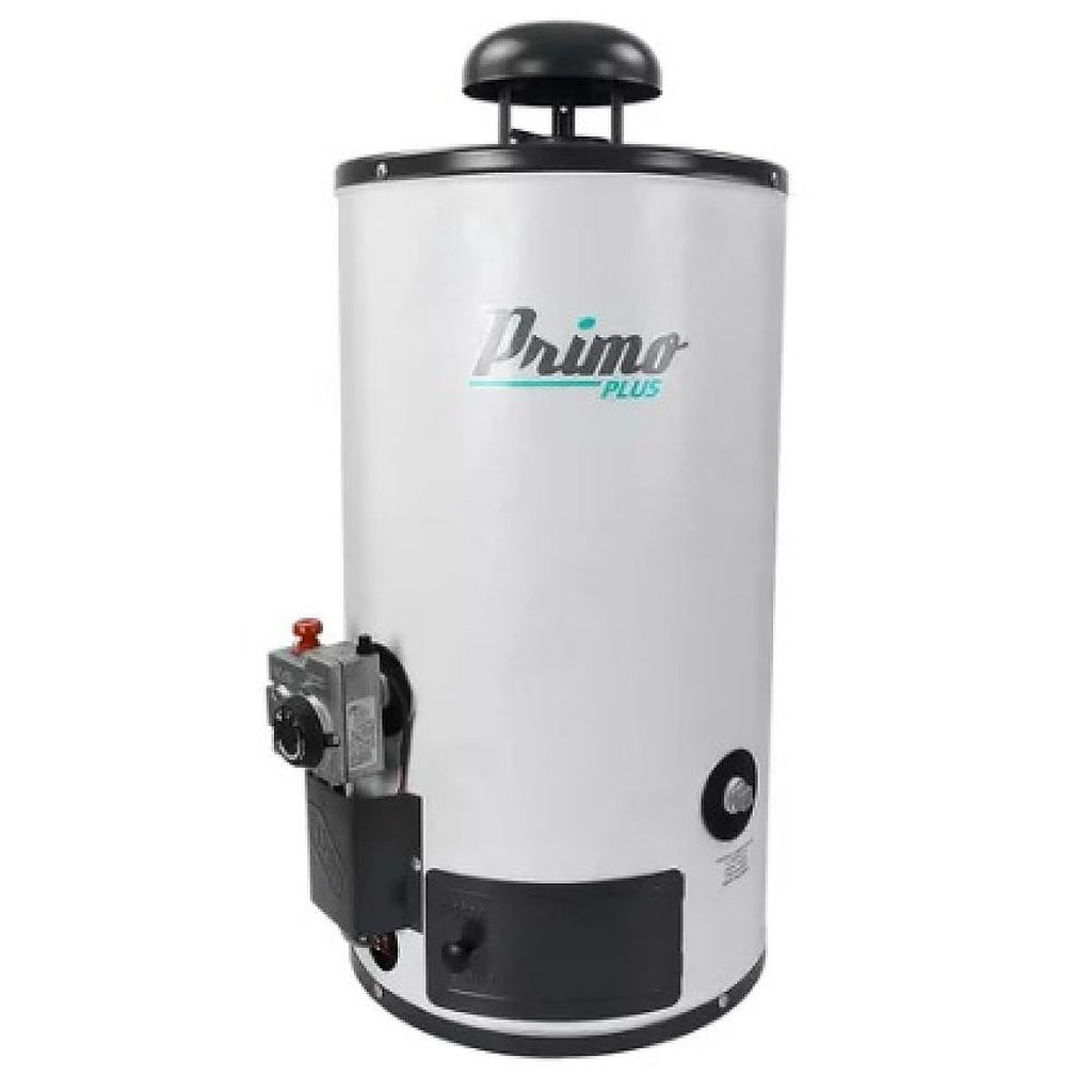 Calentador de Gas IUSA I9 268706